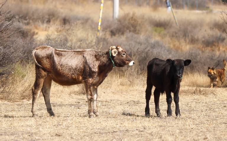 El uso de cubrebocas será obligatorio si se alcanzan 1500 casos de Covid: secretario de Salud