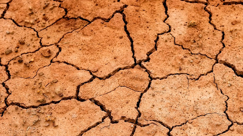 En riesgo actividad pesquera en presas del Valle de México por graves sequías