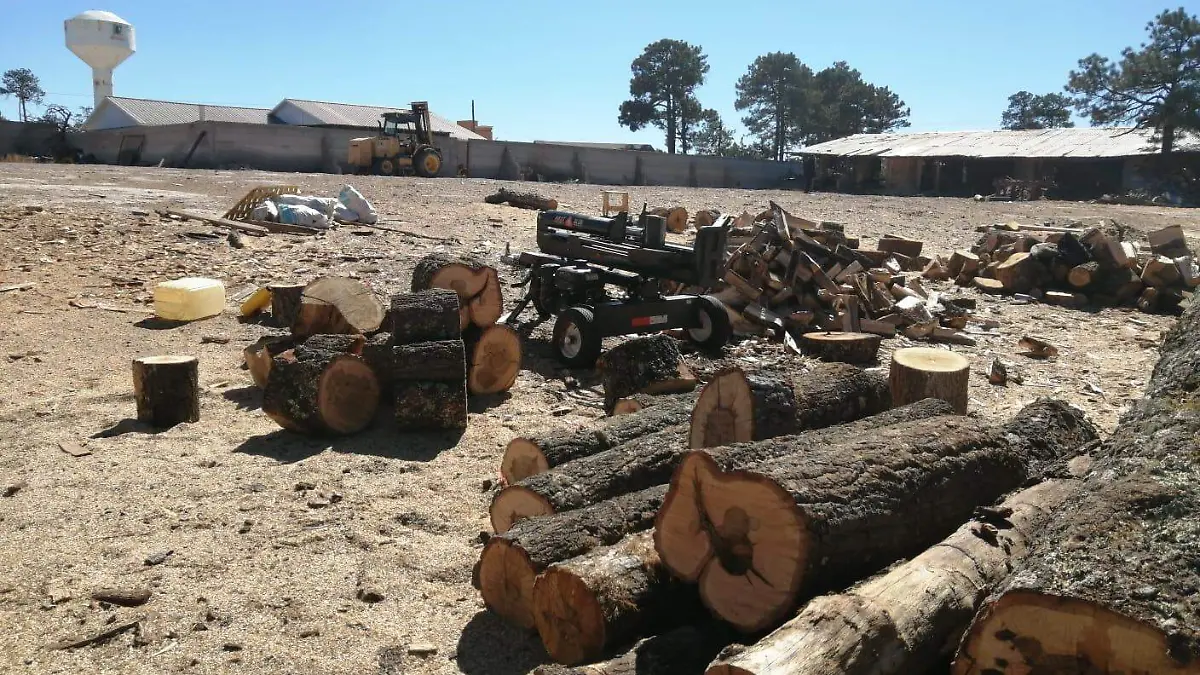 Asegura Profepa 2 mil 608 metros cúbicos de madera aserrada de pino en Bocoyna